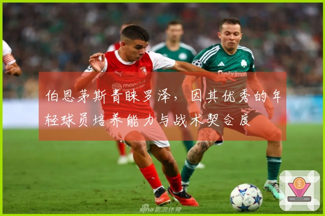 伯恩茅斯青睐罗泽，因其优秀的年轻球员培养能力与战术契合度