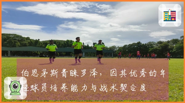 伯恩茅斯青睐罗泽，因其优秀的年轻球员培养能力与战术契合度