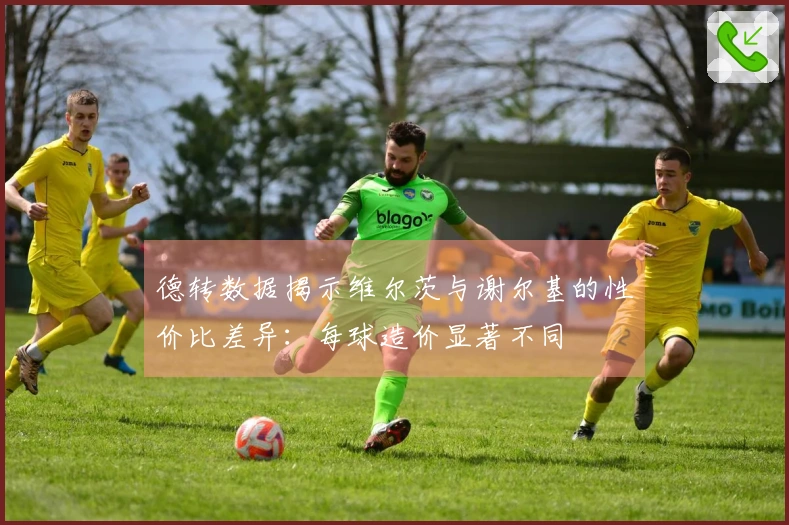 德转数据揭示维尔茨与谢尔基的性价比差异：每球造价显著不同