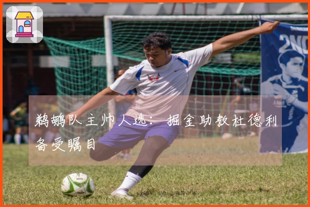 鹈鹕队主帅人选：掘金助教杜德利备受瞩目